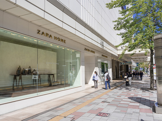 ZARA HOME